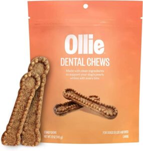 Ollie Dental Chews for Dogs