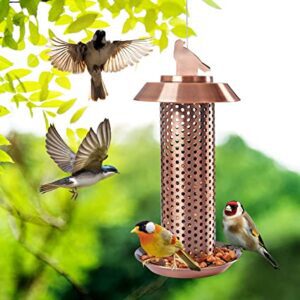 Bird Feeder