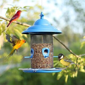 Bird Feeder