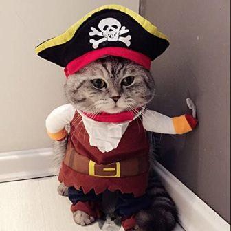 Pirate Dog Cat