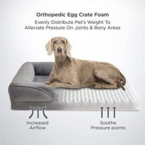 beds for dogs
