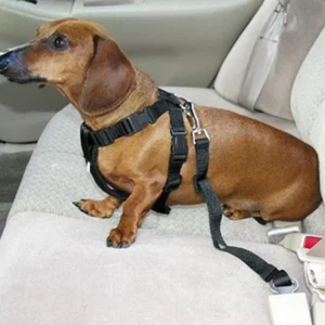 Pets Car Safety Seat Belt