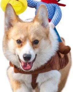 Cowboy Rider Dog costume