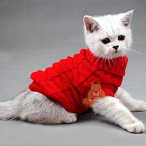 cat sweater