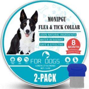 Natural Flea and Tick Prevention
