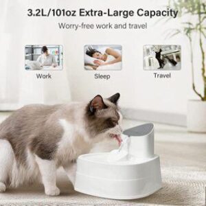 cat water fountain