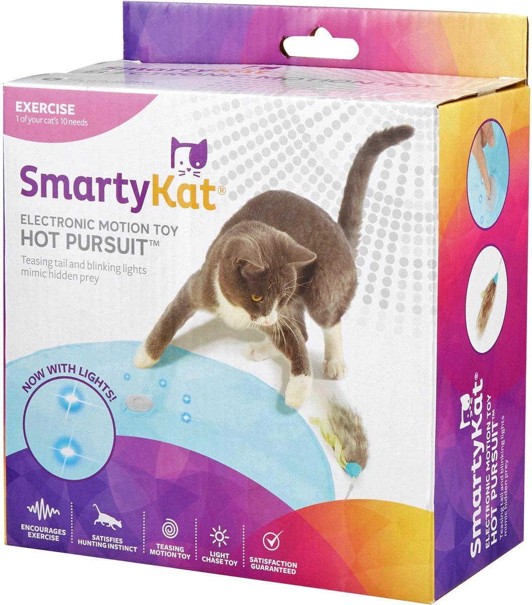 Motion Cat Toy