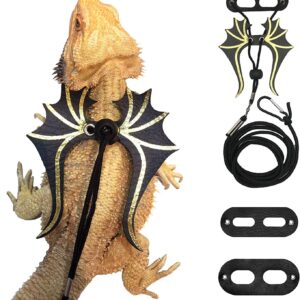 Lizard Leash Harness