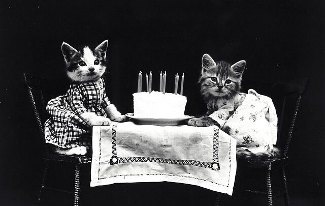 pet's birthday